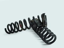 Load image into Gallery viewer, 2013 - 2015 BMW X1 E84 COIL SPRING STRUT ABSORBER RWD REAR LEFT RIGHT SET OF 2, in stock